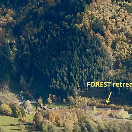 Apartmany New Forest Retreat - U Lesa, S Parkovanim, 300Mbit Internet Jesenik Exterior photo