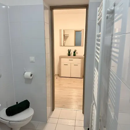 Apartmany New Forest Retreat - U Lesa, S Parkovanim, 300Mbit Internet Jesenik Exterior photo