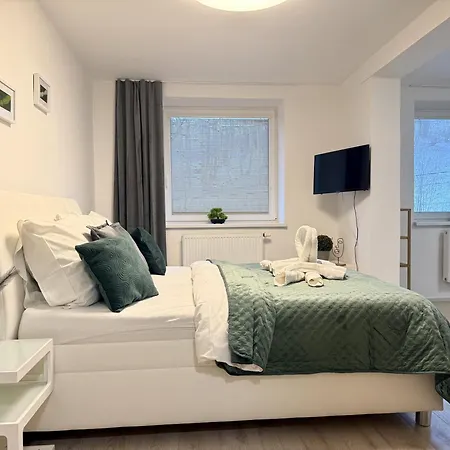 Apartmany New Forest Retreat - U Lesa, S Parkovanim, 300Mbit Internet Jesenik Exterior photo