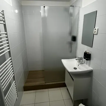 Apartmany New Forest Retreat - U Lesa, S Parkovanim, 300Mbit Internet Jesenik Exterior photo