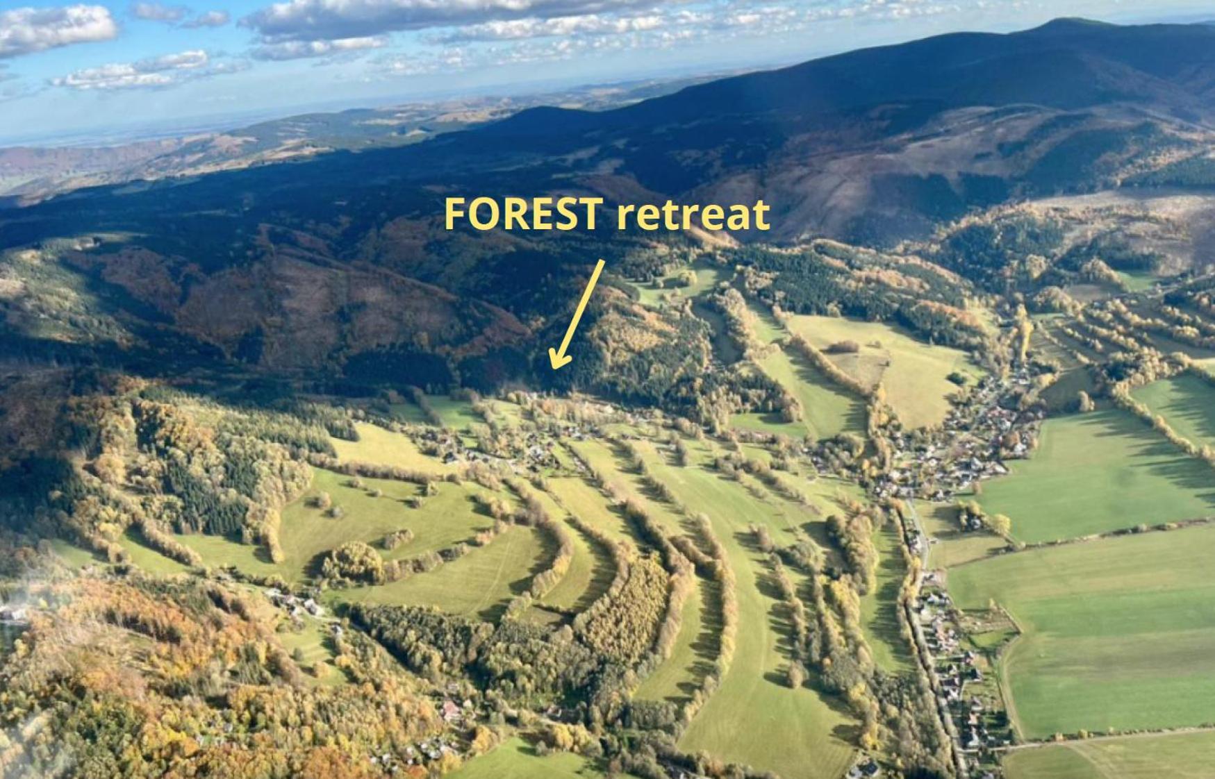 New Forest Retreat - U Lesa, S Parkovanim *