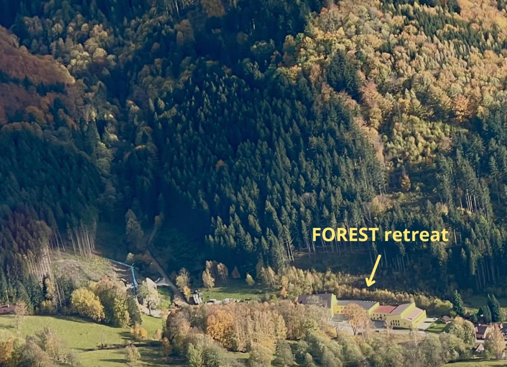 Apartment New Forest Retreat - U Lesa, S Parkovanim, 300mbit Internet