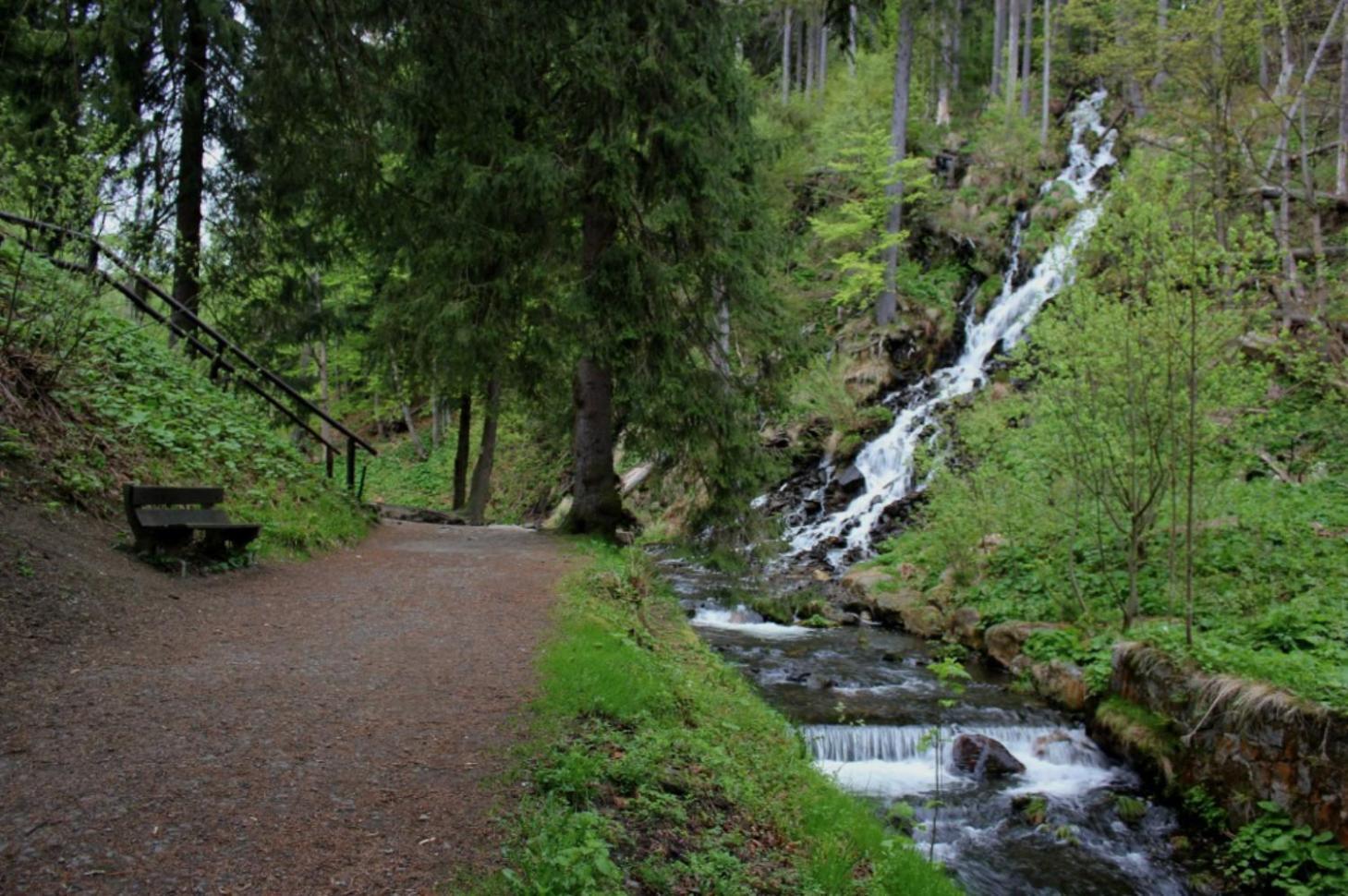 New Forest Retreat - U Lesa, S Parkovanim, 300mbit Internet Apartment *